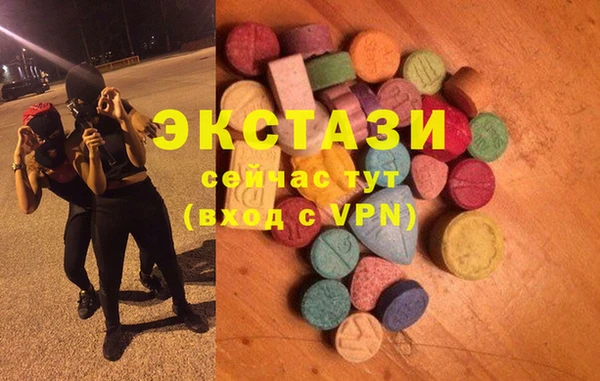 индика Новодвинск