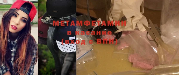 индика Новодвинск