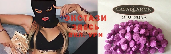 индика Новодвинск