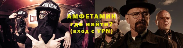 индика Новодвинск