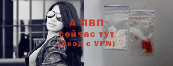 мяу мяу мука Новокубанск