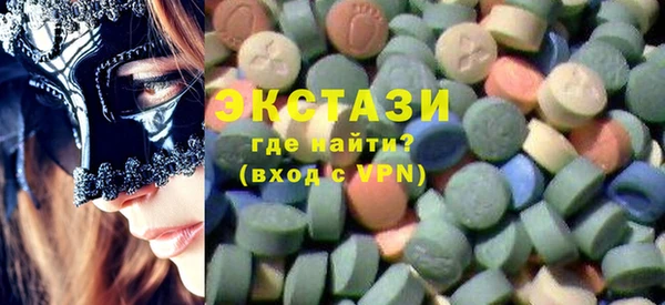 индика Новодвинск