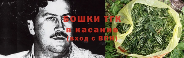 индика Новодвинск
