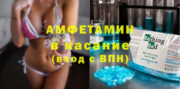индика Новодвинск