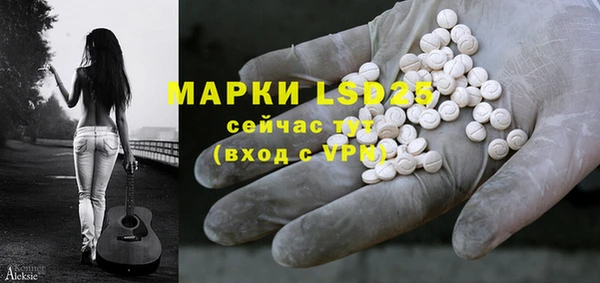 индика Новодвинск