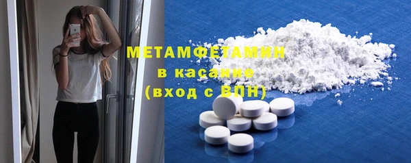 индика Новодвинск