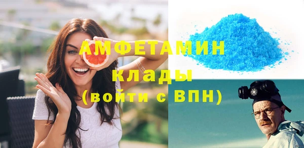 индика Новодвинск