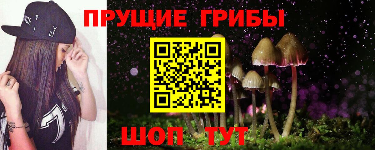 закладка  Вход с VPN  Шахты  Псилоцибиновые грибы мицелий 