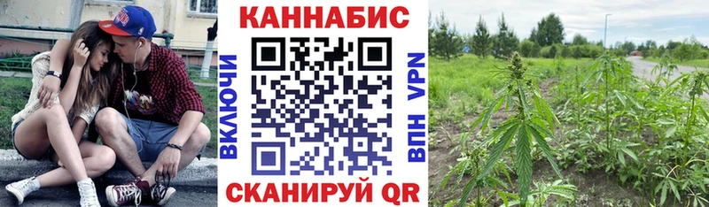 Бошки марихуана Bruce Banner  Шахты 